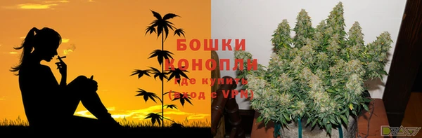прущие крисы Балахна