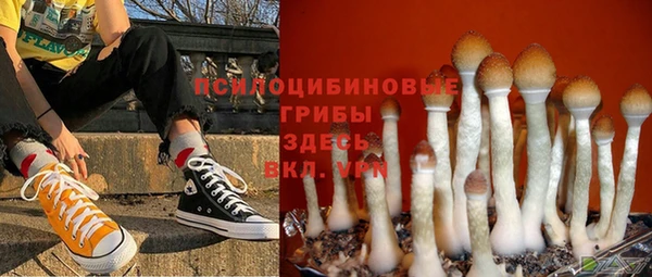 прущие крисы Балахна