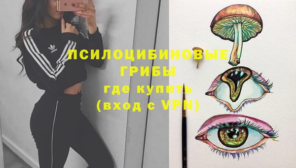 экстази Баксан