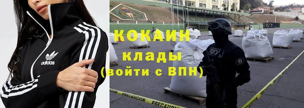 прущие крисы Балахна